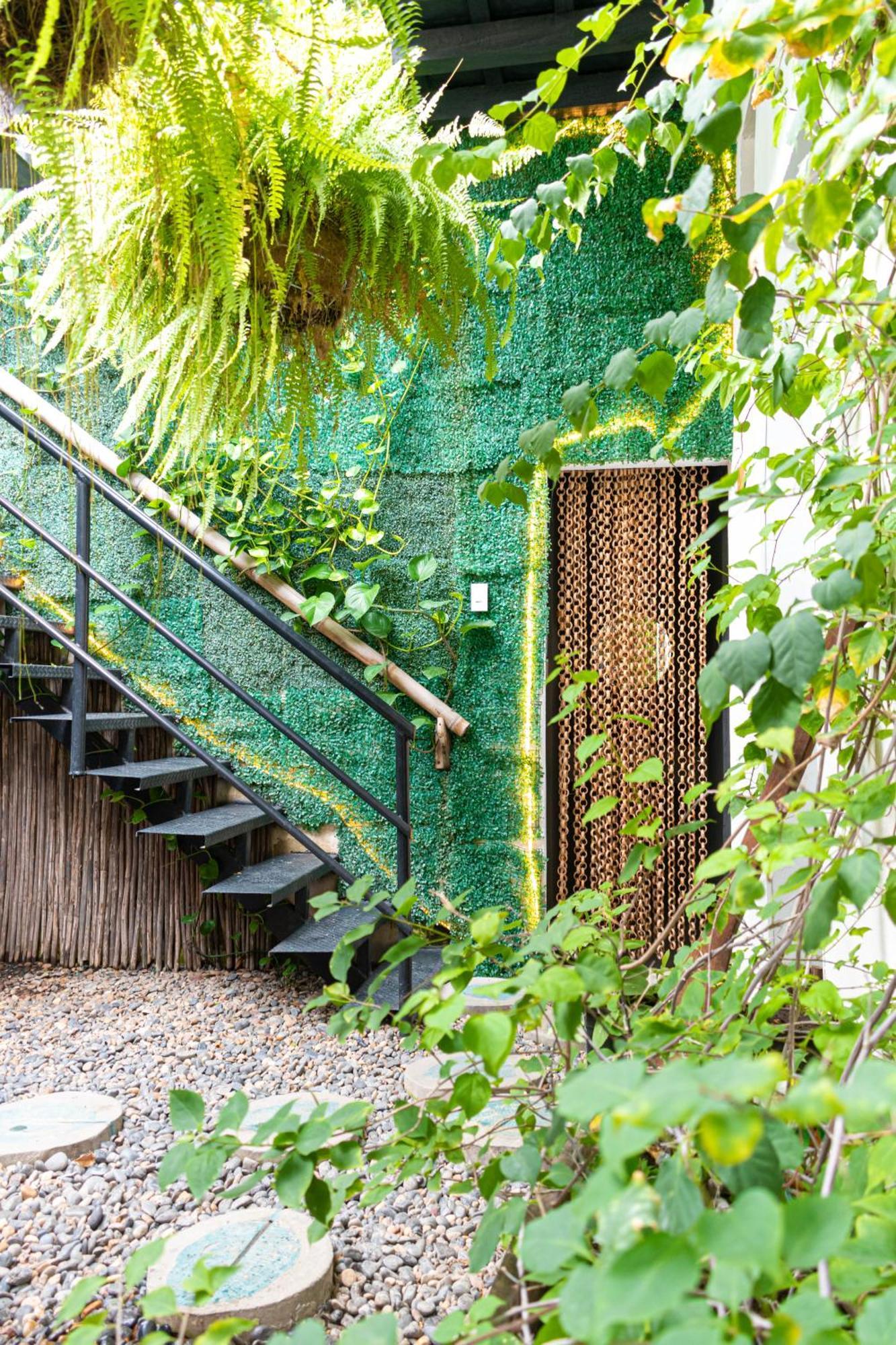 Hostel Musa Paradisiaca - Santa Marta (Magdalena) — Photos 1